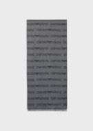 Sciarpa EMPORIO ARMANI